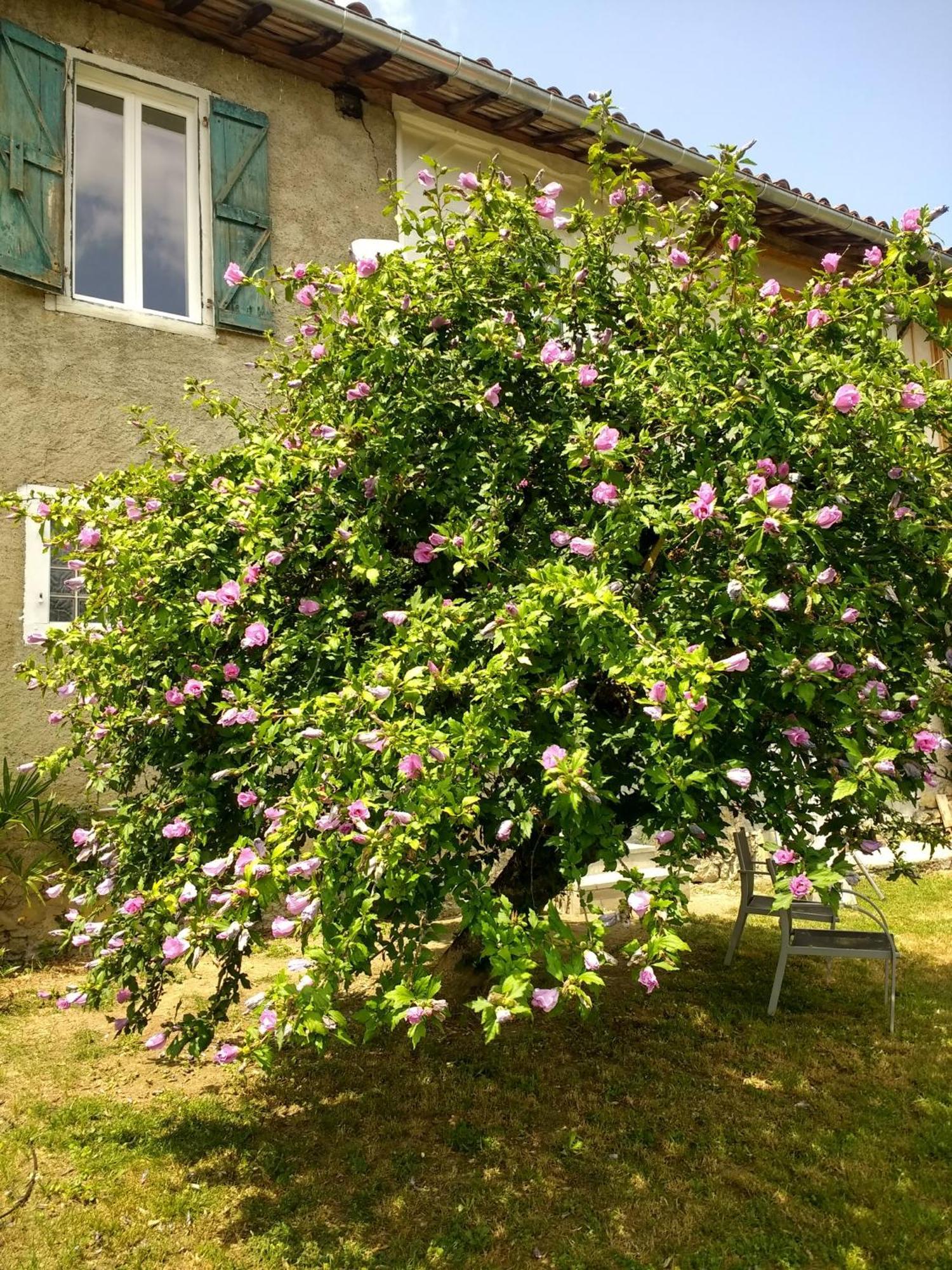 Pyrenees Vue Gite - Vues Fantastique, Parking Gratuit Sur Place & Piscine 생고뎅 외부 사진